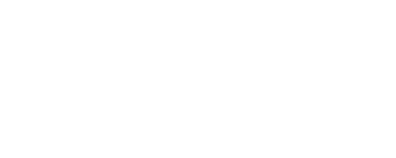 Forge Geek